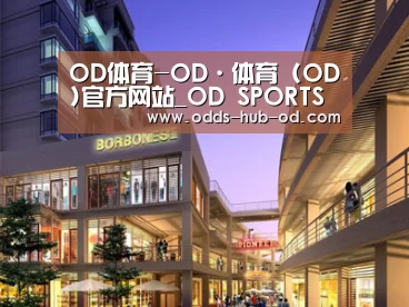 案例展示一(图1)