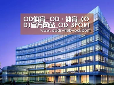 案例展示五