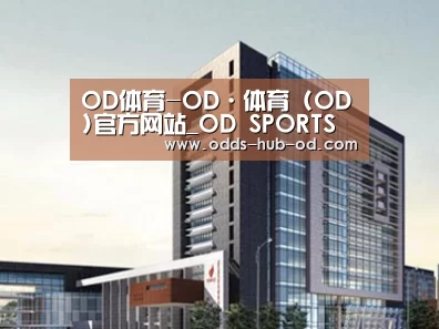 案例展示七