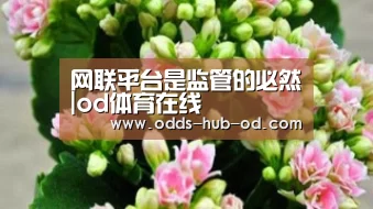 od体育在线