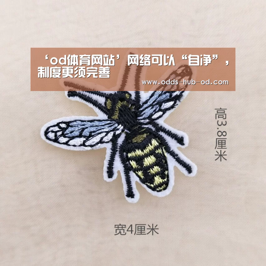 ‘od体育网站’网络可以“自净”,制度更须完善(图1) od体育网站